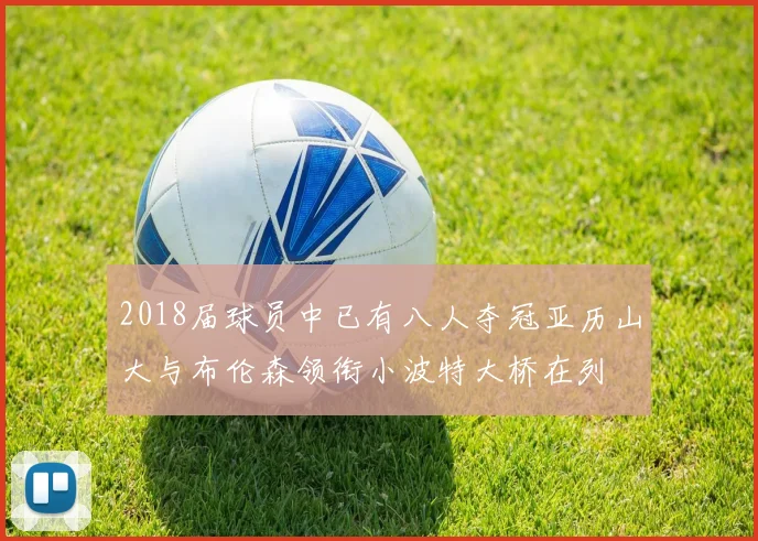 2018届球员中已有八人夺冠亚历山大与布伦森领衔小波特大桥在列