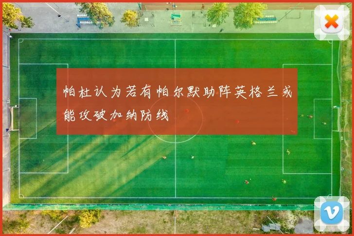 帕杜认为若有帕尔默助阵英格兰或能攻破加纳防线