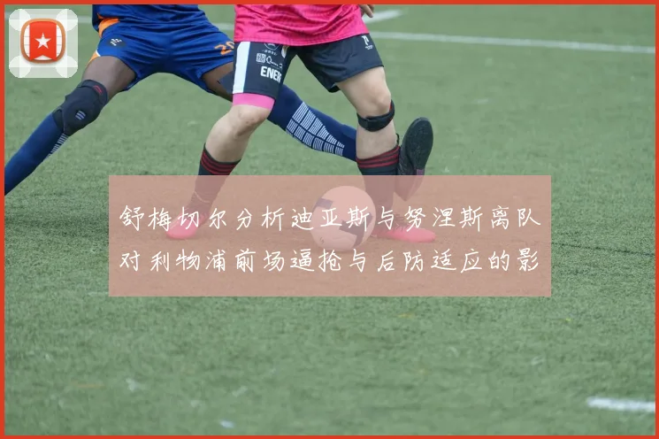 舒梅切尔分析迪亚斯与努涅斯离队对利物浦前场逼抢与后防适应的影响